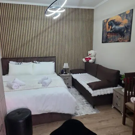 Apartment Noeli's Tirana