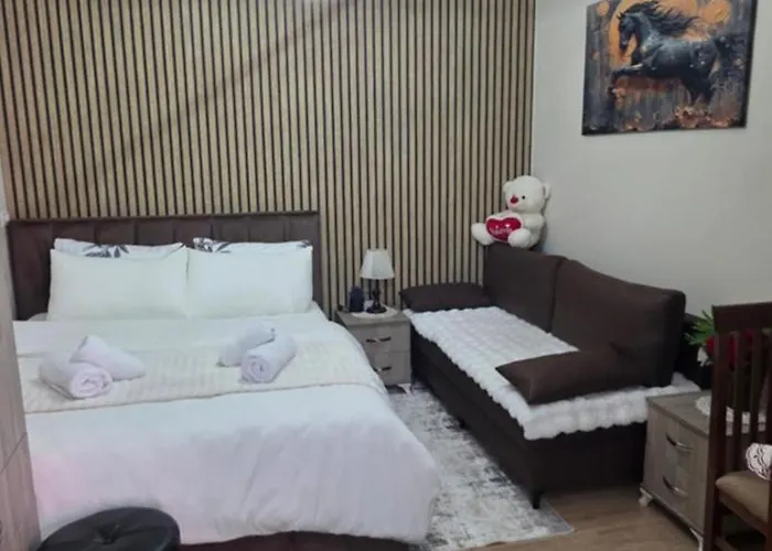 Apartment Noeli's Tirana